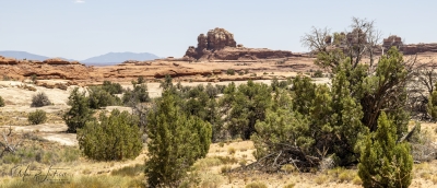 Canyonlands National Park June 2025